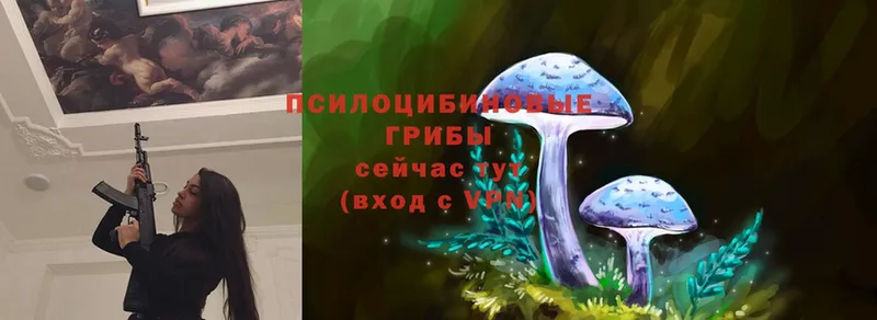 Галлюциногенные грибы Magic Shrooms  Лермонтов 